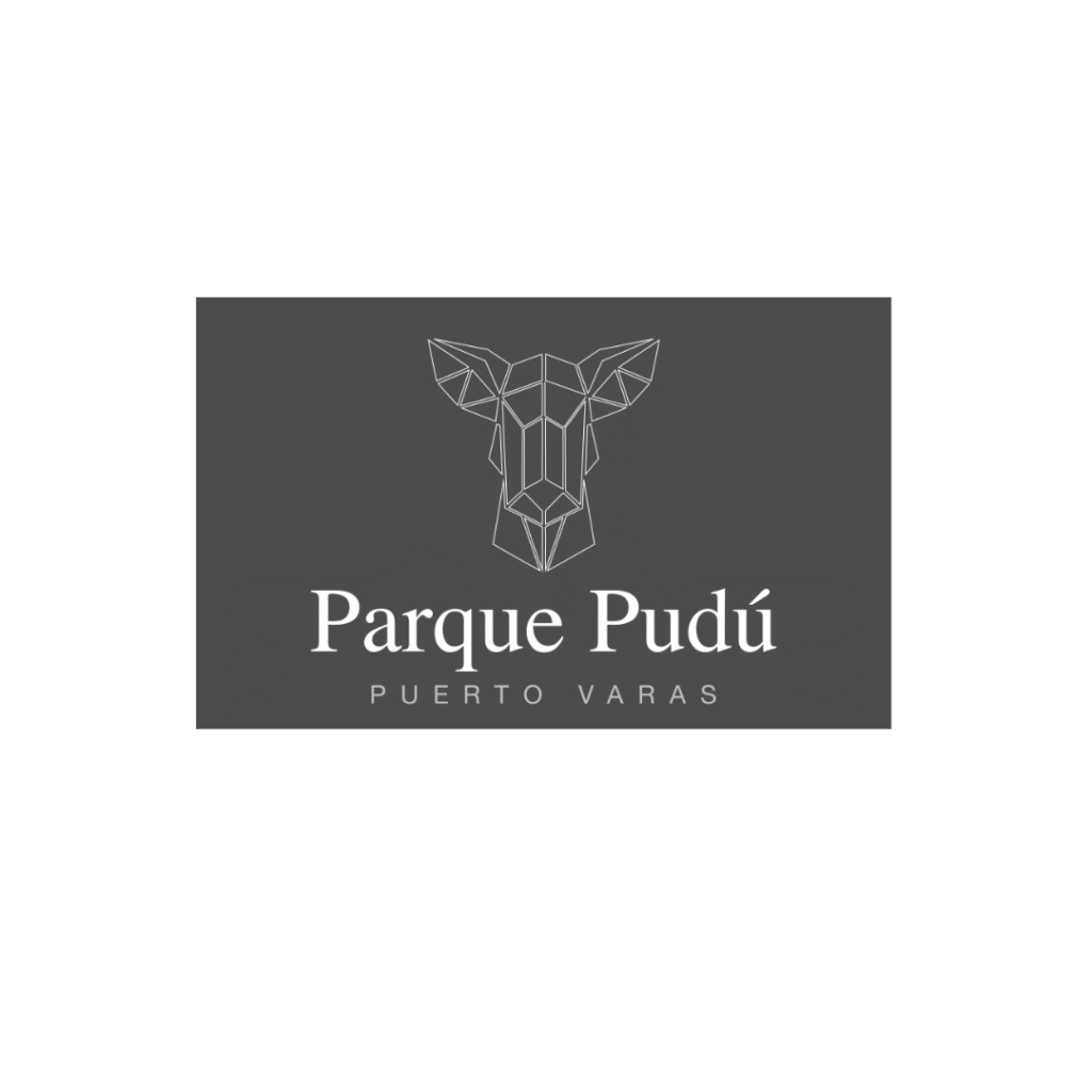 PARQUE PUDÚ 10